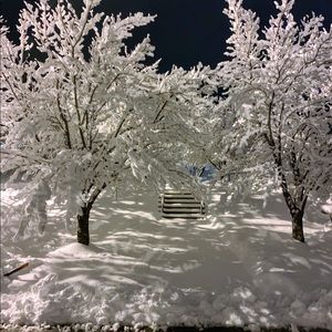 Meet your Posher, Jose